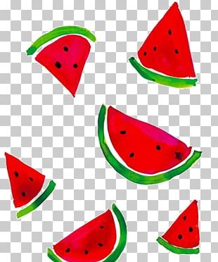 Watermelon Drawing Painting Illustration PNG