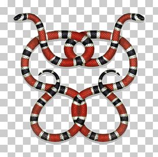 Coral Snake Reptile Drawing T-shirt PNG