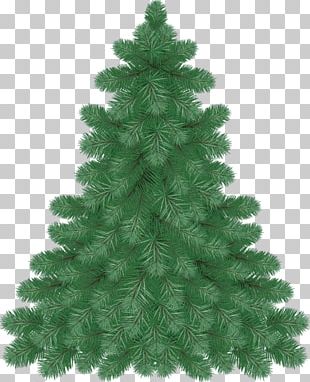 The Star Team Real Estate Tree New Year PNG