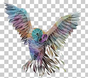 T-shirt Owl Geometry Illustration PNG