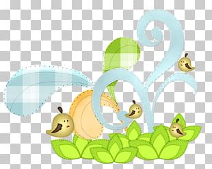 Bird Flock PNG