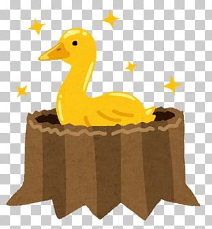 Domestic Goose Domestic Duck The Golden Goose PNG