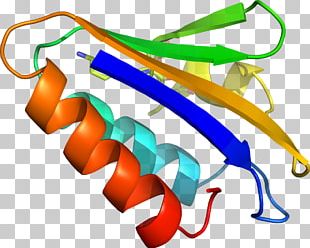 Line Organism PNG