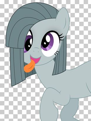 Pony Pinkie Pie Rarity Tart Rainbow Dash PNG
