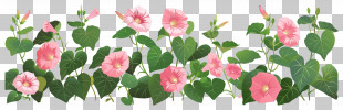 Flower Bush - Pink Flowers In A Garden PNG