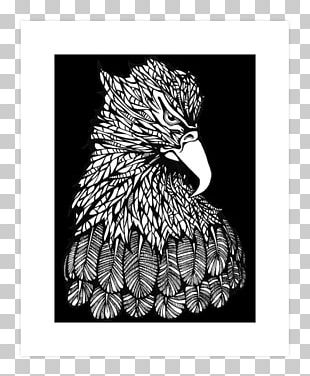 Beak Bald Eagle United States Bird Hoodie PNG