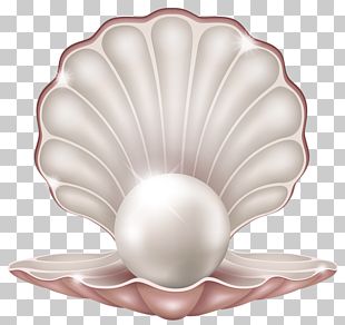 pearls clipart png