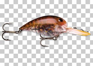 Spoon Lure Plug Fishing Baits & Lures Fishing Tackle PNG, Clipart, Bait,  Bass Fishing, Catch And Release, Fish, Fish Hook Free PNG Download