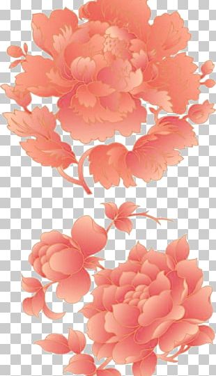 Moutan Peony Flower PNG