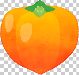 Icon - Vivid Persimmon Fruit Illustration PNG