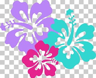 Hawaiian Cartoon PNG, Clipart, Animation, Area, Artwork, Branch ...