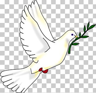 Emoji Peace Symbols Doves As Symbols IPhone Columbidae PNG, Clipart ...