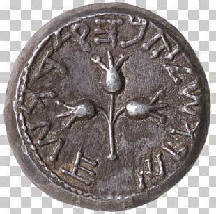 Antiquitates Rerum Humanarum Et Divinarum Writer Philosopher Wikipedia Encyclopedia PNG