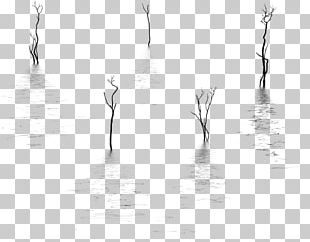 Water Reflection Png Images Water Reflection Clipart Free Download