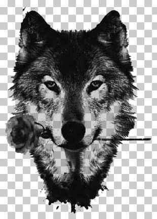 Wolf drawing bonito black shadow wolf HD phone wallpaper  Peakpx