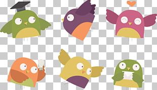 Bird Owl PNG