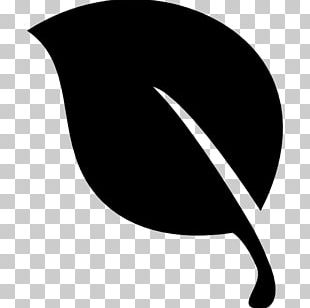 Computer Icons Shape Leaf PNG