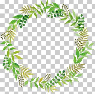 Floral Design Graphics Wreath Wedding Invitation PNG, Clipart, Black ...