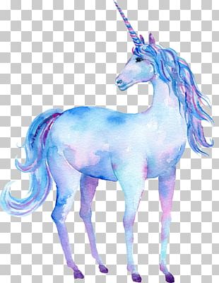 Unicorn Watercolor Painting Art Poster PNG