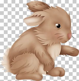 Domestic Rabbit Hare Easter Bunny PNG