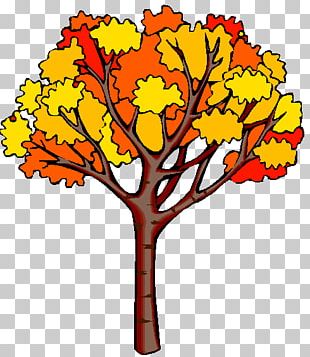 Autumn Tree PNG