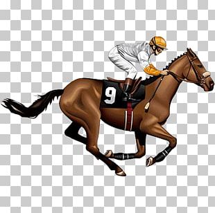 Horse Equestrian Jockey PNG, Clipart, Animals, Black, Black And White ...