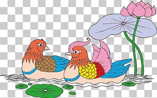 Bird Mandarin Duck Symbol PNG