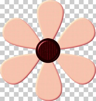 Circular Sector PNG