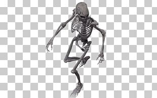 Human Skeleton Joint PNG