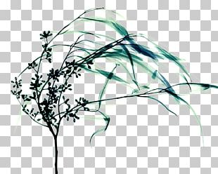 Line Art Drawing Leaf Tree PNG