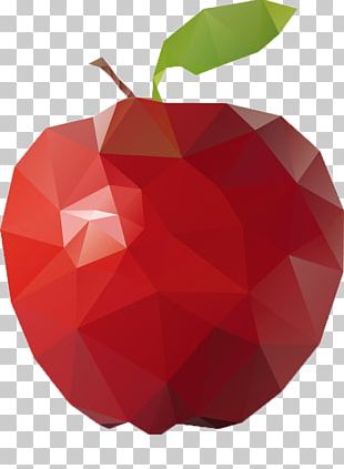 Low Poly Polygon PNG