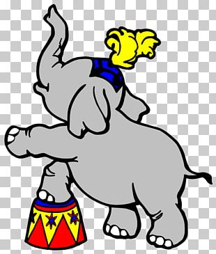 Circus Coloring Book Elephant Cartoon PNG