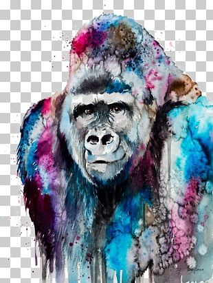 Western Lowland Gorilla Watercolor Painting Art Orangutan PNG