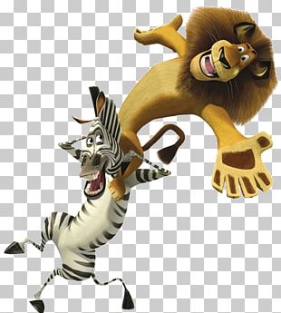 Alex Marty Lion Madagascar Film PNG, Clipart, Alex, Anim, Animals ...