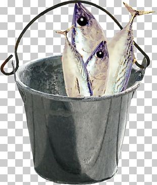 Fish Bucket PNG Images, Fish Bucket Clipart Free Download