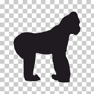 Gorilla Silhouette PNG, Clipart, Animal, Animals, Black, Black And ...