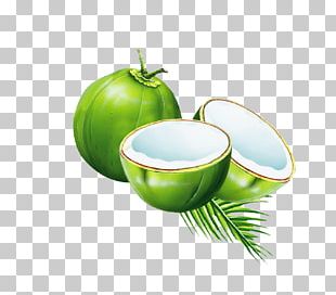 Coconut Milk Coconut Water PNG, Clipart, Coco, Color Splash ...