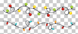 Wavy Colored Lights - Colorful String Lights For Holiday Decoration PNG