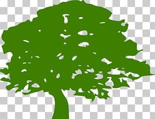 Computer Icons Tree PNG