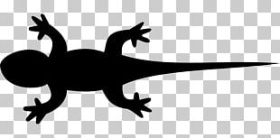 Lizard Reptile Common Iguanas Gecko PNG