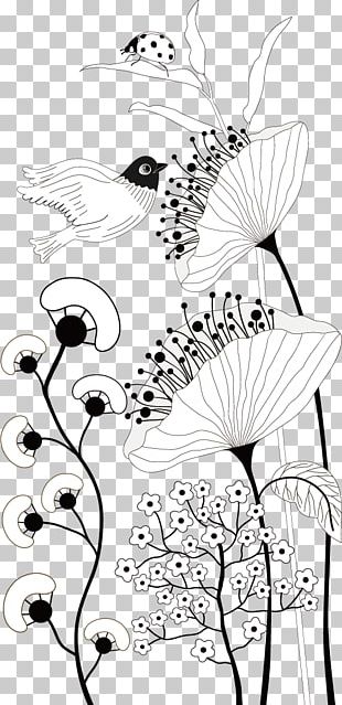 Black And White Decoupage Photography Illustration PNG