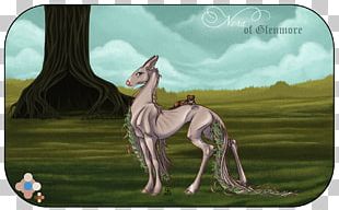 Pony Giraffe Horse Mammal Mane PNG