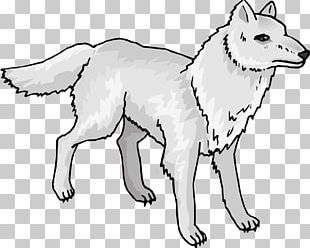 Arctic Wolf Png Stock Illustrations – 6 Arctic Wolf Png Stock