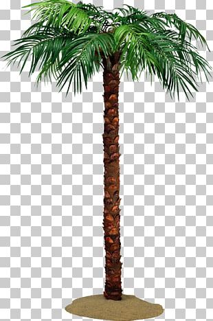 tumblr transparent palm tree