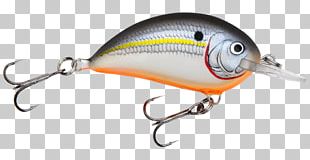 Plug Fishing Baits & Lures Fishing Tackle PNG, Clipart, Bait, Bait