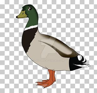 Mallard Duck Painting Beak PNG, Clipart, Advertising, Animals, Beak ...