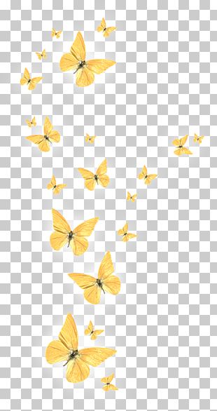 Golden Wing Png Images Golden Wing Clipart Free Download