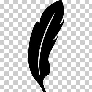 Bird Feather Shape Computer Icons PNG
