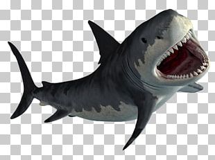 Marlin Bruce Great White Shark PNG, Clipart, Animals, Barry Humphries ...