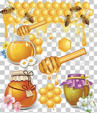 Honey Bee Honeycomb Drawing PNG, Clipart, Arthropod, Bee, Bumblebee ...